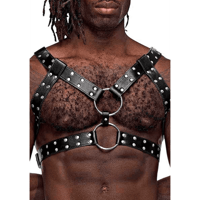 Gemini Harness - postroj