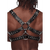 Gemini Harness - postroj