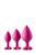 Dream Toys Flirts Anal Training Kit Gem pink